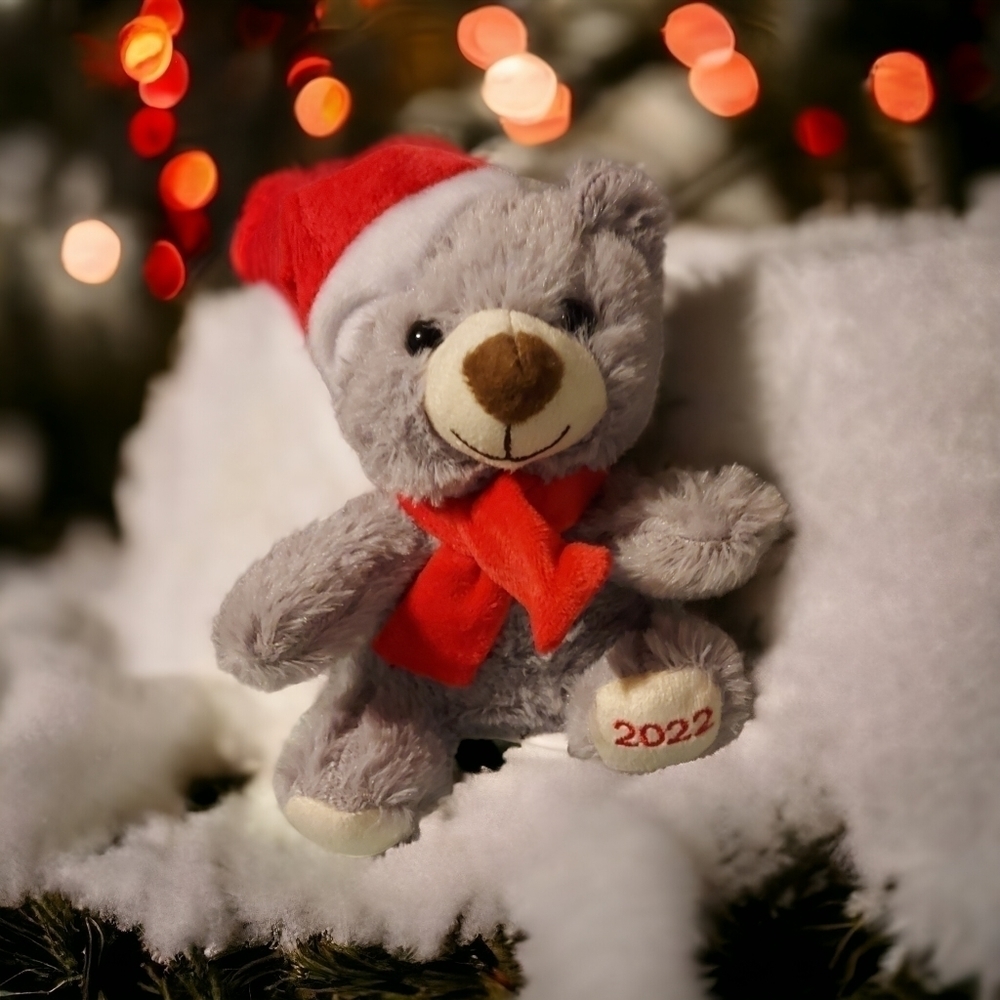 Festive Holiday Bear from 2022